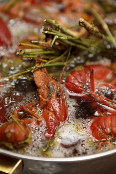 Koken van rivierkreeft met kruiden — Stockfoto