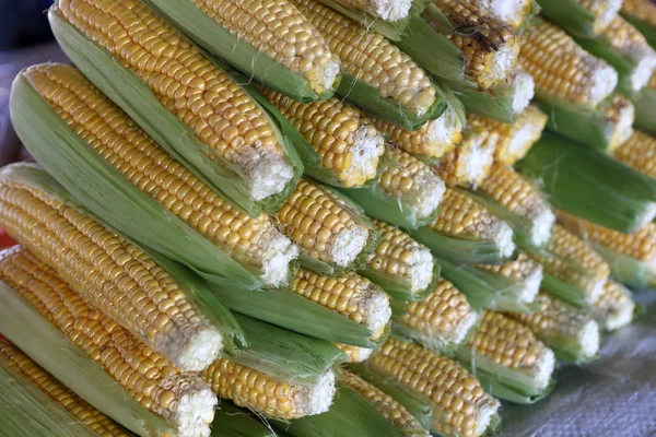 Fresh corn — Stock Photo, Image