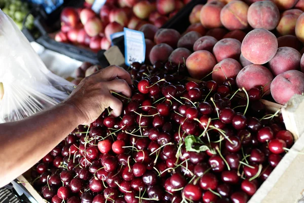 Persona toma cerezas — Foto de Stock