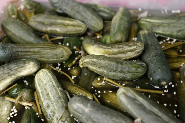 Salted cucumbers — Stock Photo, Image