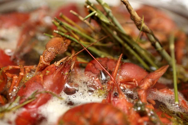 Gekookte rivierkreeft in de pan — Stockfoto