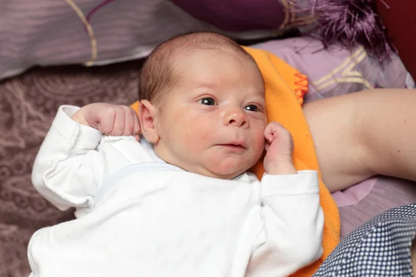 Newborn on a blanket — Stock Photo, Image