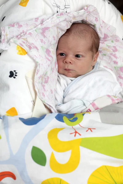Newborn baby on the diaper — Stock Photo, Image