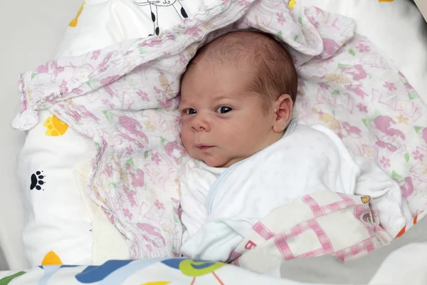 Πορτρέτο του νεογέννητου μωρού — Φωτογραφία Αρχείου