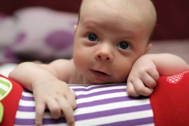 Gezinme tekerleği erkek bebek