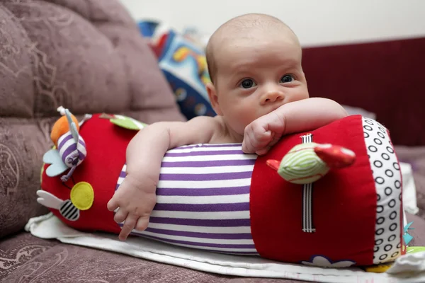 Newborn baby on crawling roll — Stock Photo, Image