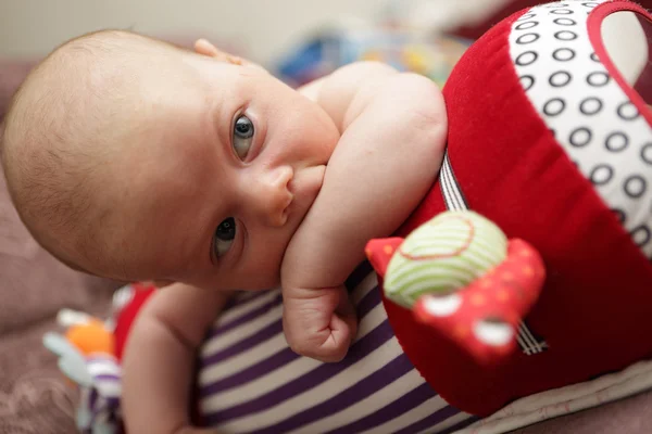 Newborn baby lying on a crawling roll — Stock Photo, Image