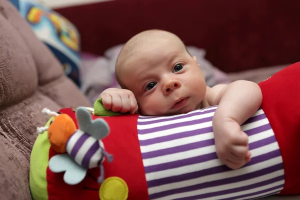 Thinking baby on crawling roll — Stock Photo, Image