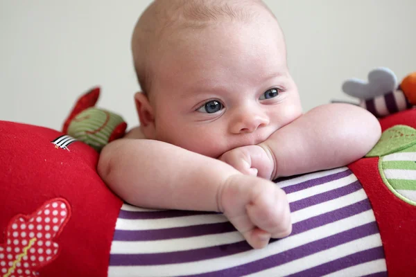 Baby boy lying on a crawling roll — Stock Photo, Image