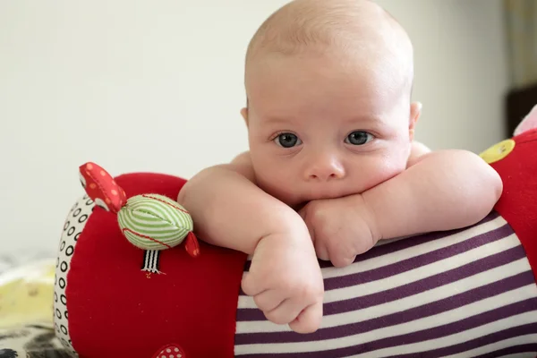 Thinking newborn boy lying on a crawling roll — Stock Photo, Image