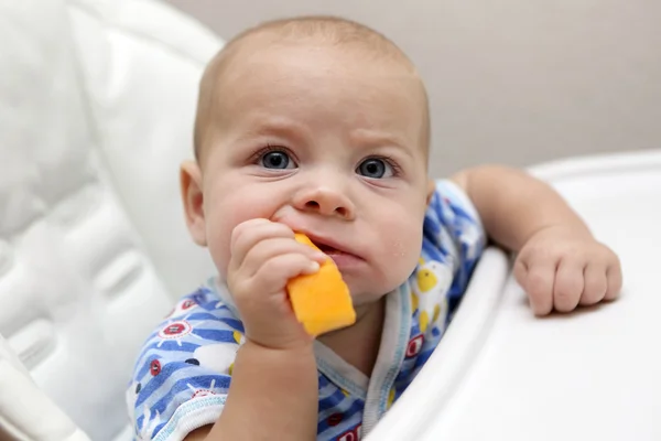 Baby biting pumpkin — Stock Photo, Image