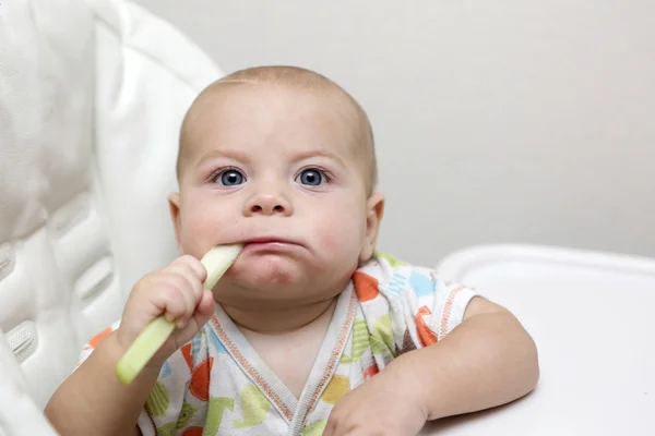 Pensivo menino comendo aipo — Fotografia de Stock