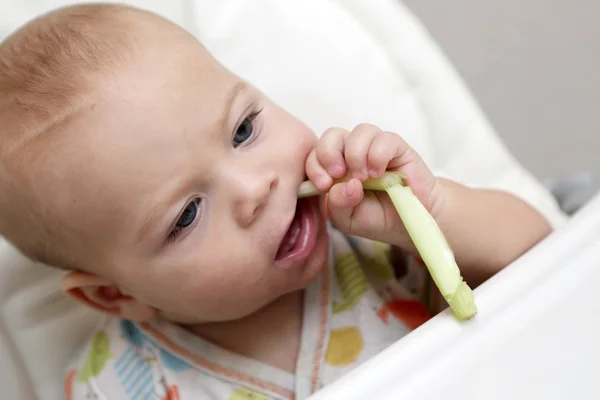 Zamyšlený chlapec kousání celer — Stock fotografie