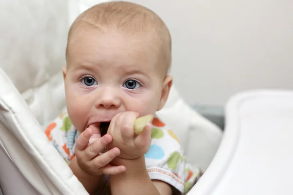 Baby with celery — Stock Photo, Image