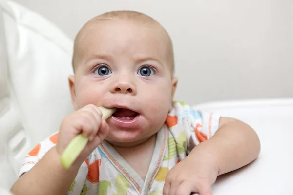 Baby eating celery — Stock Photo, Image