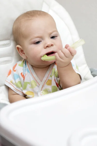 Pensive baby boy biting celery — Stock Photo, Image