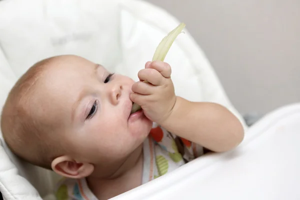 Niño pensativo comiendo apio — Foto de Stock