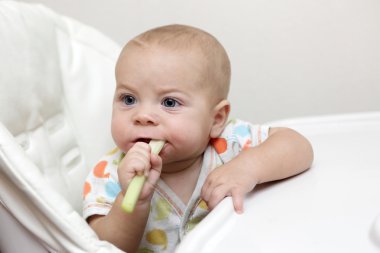 Kereviz ısırma bebek