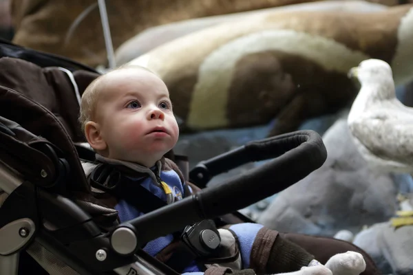 Pojken sitter på en barnvagn — Stockfoto