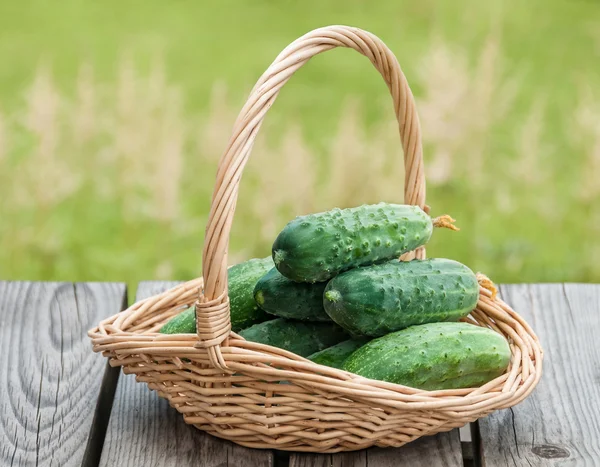 Gurkor i en korg på bakgrund av naturen — Stockfoto