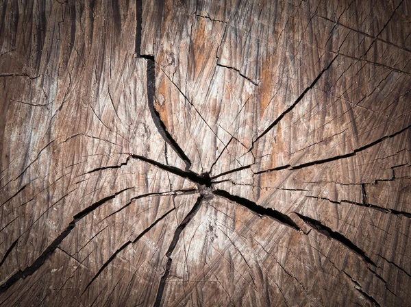 Struttura del vecchio albero incrinato . — Foto Stock