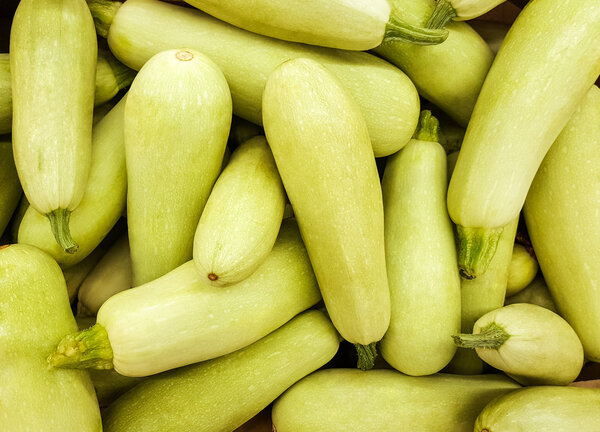 Background of fresh squash.