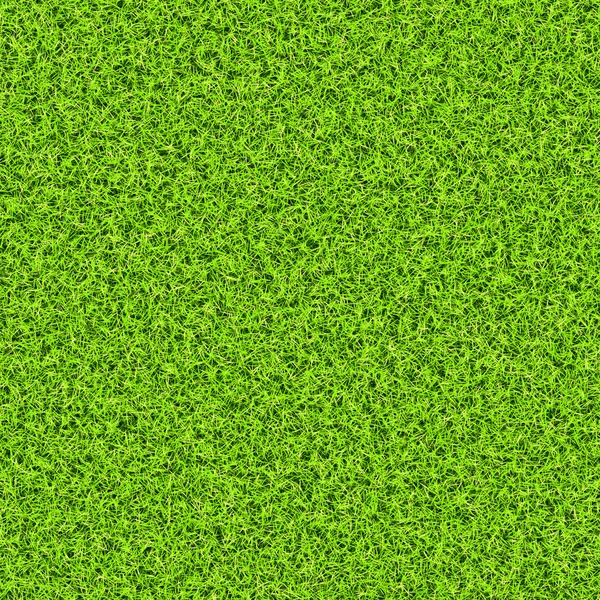 Green grass background texture — Stock Photo, Image