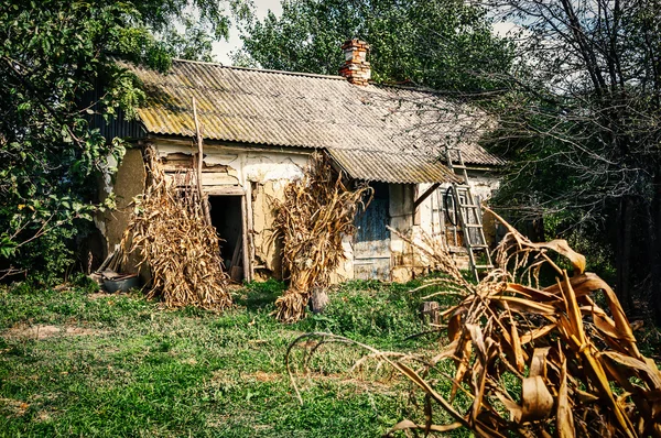 Casa antiga aldeia em ambiente florestal — Fotografia de Stock