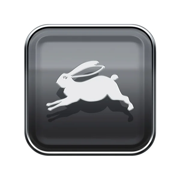 Kanin Zodiac ikonen grå, isolerad på vit bakgrund. — Stockfoto