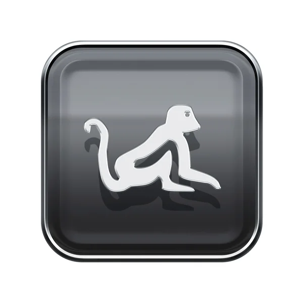 Monkey Zodiac icono gris, aislado sobre fondo blanco . — Foto de Stock