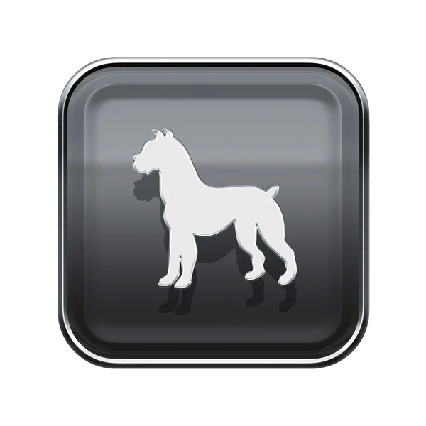 Cão Zodíaco ícone cinza, isolado no fundo branco . — Fotografia de Stock