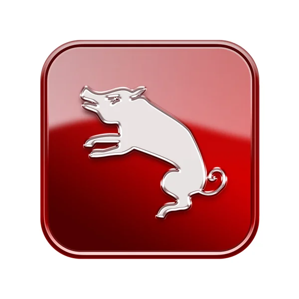 Pig Zodiac icon red, isolated on white background. — ストック写真