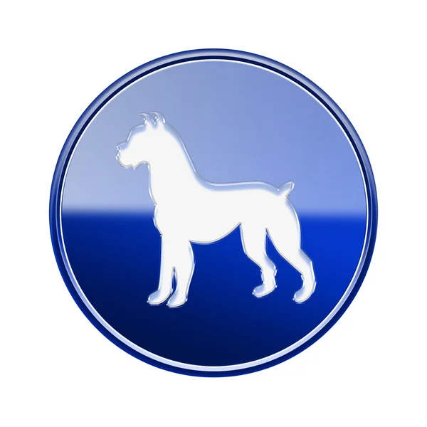 Ícone do zodíaco cão azul, isolado no fundo branco . — Fotografia de Stock