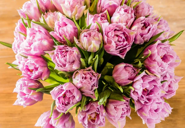 Schöne rosa Tulpen — Stockfoto