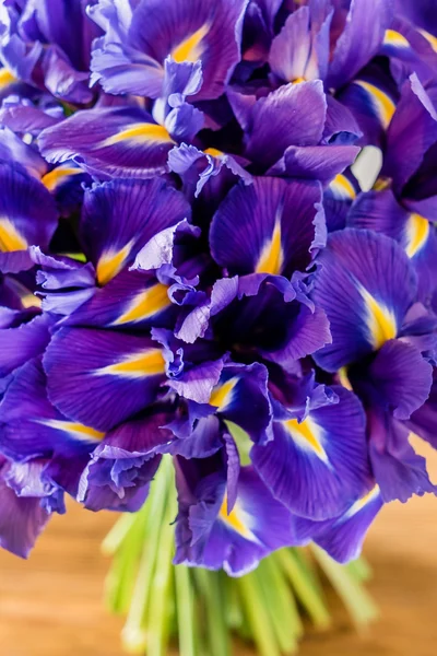 Ramo de flores de primavera — Foto de Stock