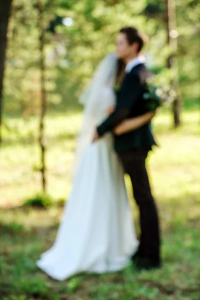 Piękny ślub — Zdjęcie stockowe