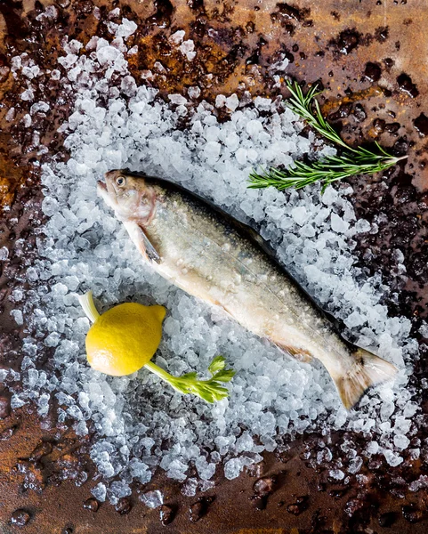 Färsk fisk i is — Stockfoto