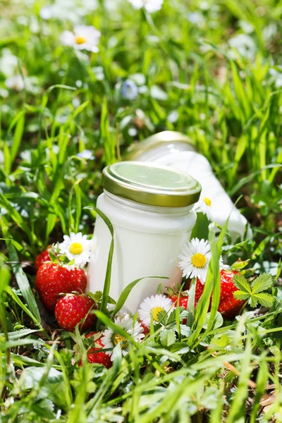 Organic yogurt with strawberries Royalty Free Stock Photos