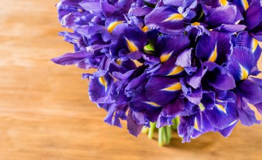 Güzel bahar çiçekleri