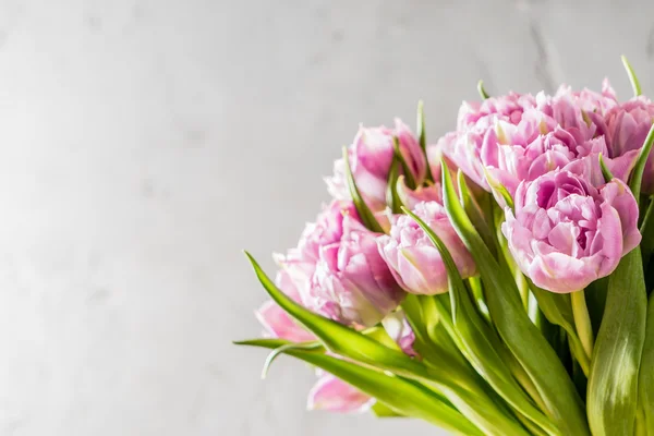 Schöne rosa Tulpen — Stockfoto