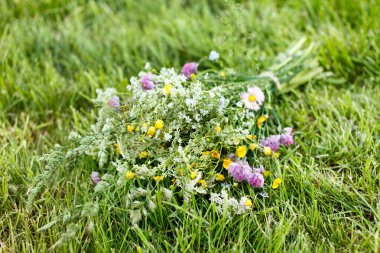 Güzel bahar çiçekleri