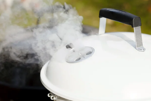 Outdoor barbecue picnic — Stock Photo, Image