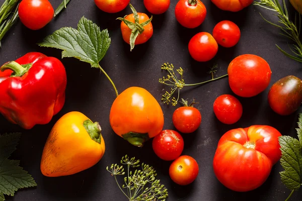 Conjunto de legumes frescos — Fotografia de Stock