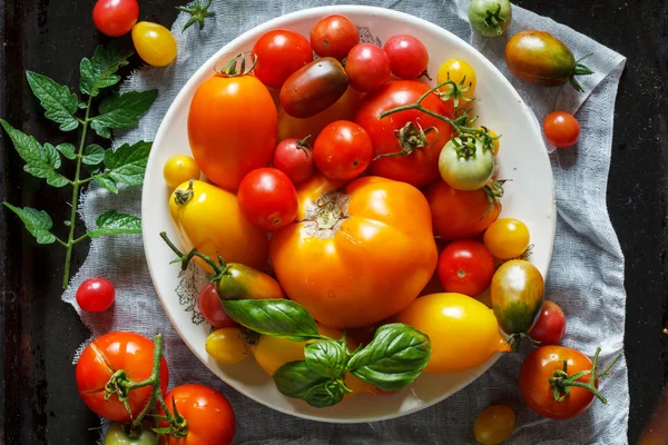 Tomates coloridos na placa — Fotografia de Stock