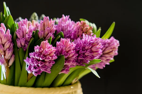 Bouquet agradável em preto — Fotografia de Stock