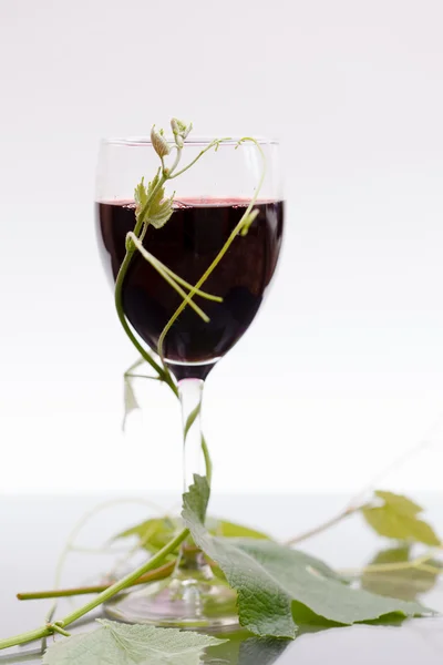 Vino tinto en copa — Foto de Stock