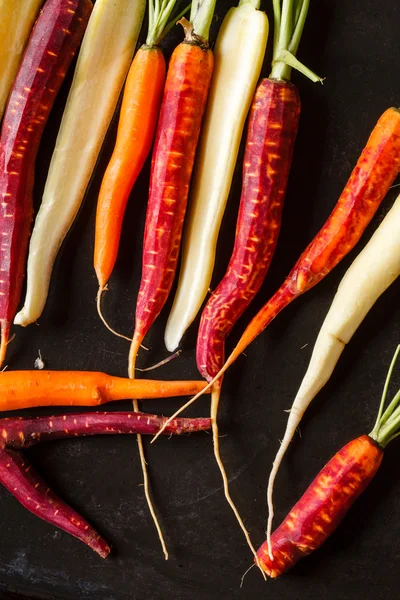 Zanahorias frescas coloridas —  Fotos de Stock