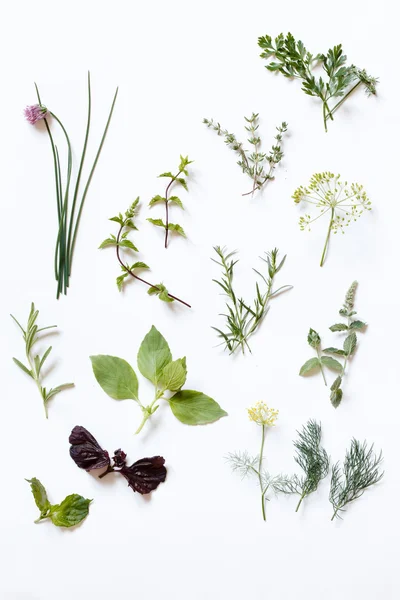 Fresh aromatic herbs — Stock Photo, Image