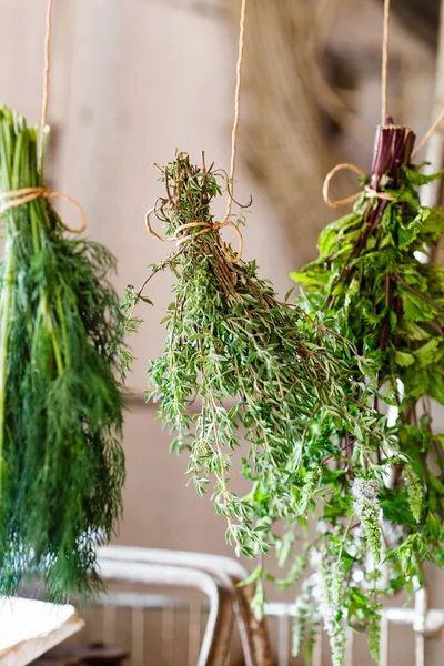 Čerstvé zelené bylinky — Stock fotografie