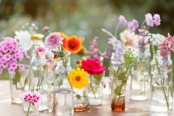 Mooie bloemen in flessen — Stockfoto